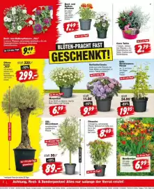 Repo Markt Prospekt woche 24 Seite 2