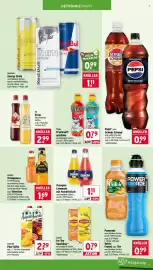 Wasgau Prospekt woche 24 Seite 17