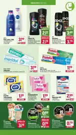 Wasgau Prospekt woche 24 Seite 19