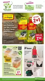 Wasgau Prospekt woche 24 Seite 21
