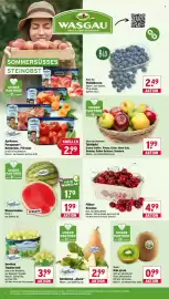 Wasgau Prospekt woche 24 Seite 6