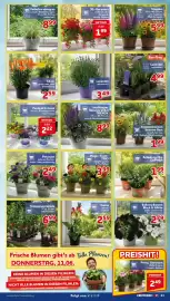 CENTERSHOP Prospekt woche 24 Seite 13