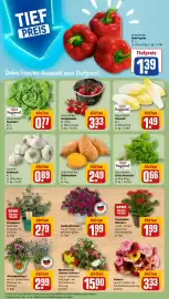 REWE Kaufpark Prospekt woche 24 Seite 5