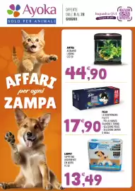 Volantino Ayoka Pagina 1