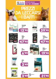 Volantino Ayoka Pagina 10
