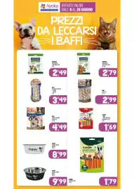 Volantino Ayoka Pagina 11