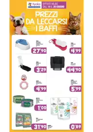 Volantino Ayoka Pagina 12