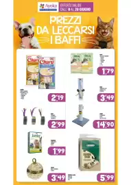 Volantino Ayoka Pagina 13