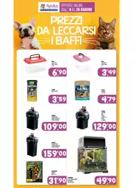 Volantino Ayoka Pagina 14
