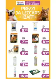 Volantino Ayoka Pagina 15