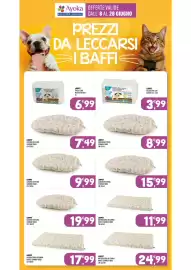 Volantino Ayoka Pagina 17