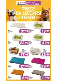 Volantino Ayoka Pagina 18