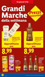 Volantino Lidl settimana 24 Pagina 20