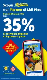 Volantino Lidl settimana 24 Pagina 41