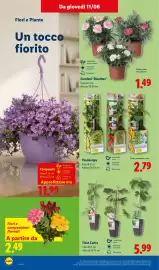 Volantino Lidl settimana 24 Pagina 42