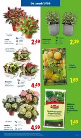 Volantino Lidl settimana 24 Pagina 43