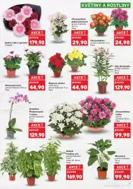 Kaufland leták týden 24 Strana 11