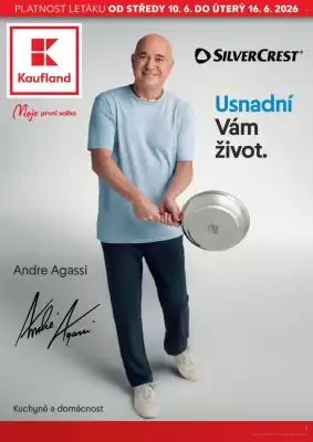 Kaufland leták (platné do 16-06)