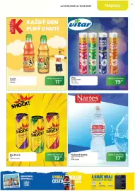 Tamda Foods leták týden 24 Strana 13