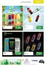 Tamda Foods leták týden 24 Strana 15
