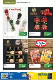 Tamda Foods leták týden 24 Strana 44