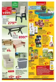 Multi Markt Prospekt woche 24 Seite 19