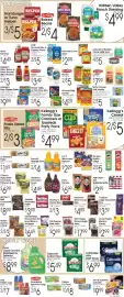 Family Fare weekly ad week 24 Page 4