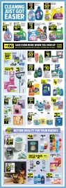 Dollar General weekly ad week 24 Page 11