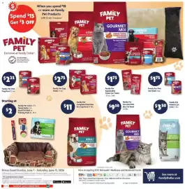 Family Dollar weekly ad week 24 Page 11