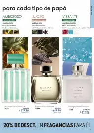 Catálogo Oriflame Página 17
