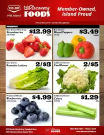 Discovery Foods flyer week 24 Page 2