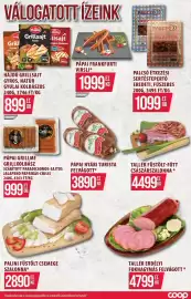 Coop akciós újság Oldal 10