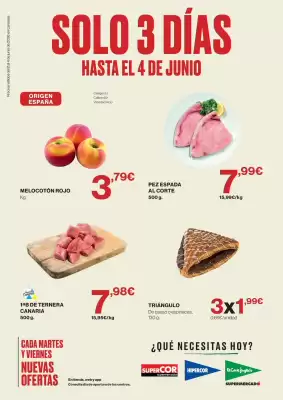 Hipercor (válido hasta el 14-06)