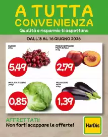 Volantino Hardis Pagina 2