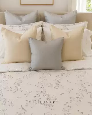 Plumas (válido hasta 8-06)