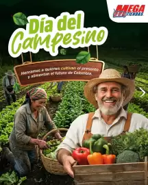Catálogo MegaTiendas Página 1