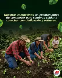 Catálogo MegaTiendas Página 3