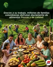 Catálogo MegaTiendas Página 4