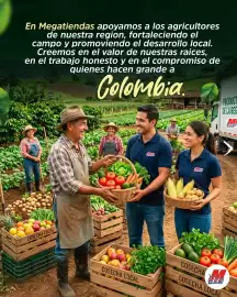 Catálogo MegaTiendas Página 5