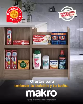 Catálogo Makro (válido hasta 11-06)