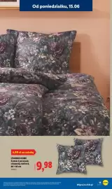 Lidl gazetka tydzień 25 Strona 17