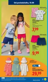 Lidl gazetka tydzień 25 Strona 31