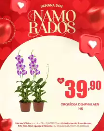 Encarte Royal Supermercados semana 24 Página 8