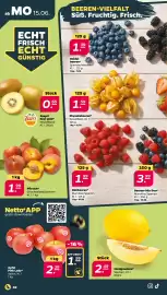 NETTO Prospekt woche 25 Seite 2