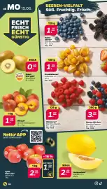 Netto Prospekt woche 25 Seite 2