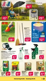 NETTO Prospekt woche 25 Seite 21