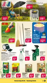 Netto Prospekt woche 25 Seite 21