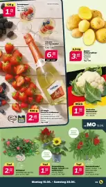 NETTO Prospekt woche 25 Seite 3
