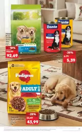 Catalog Kaufland săptămâna 24 Pagină 57