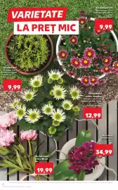 Catalog Kaufland săptămâna 24 Pagină 8